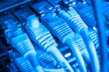 network hub and patch cables