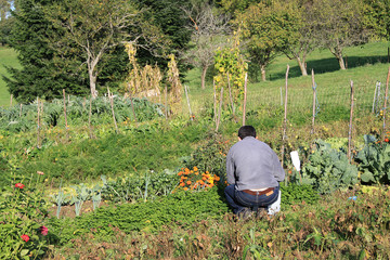 jardinier