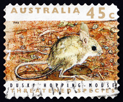 Postage stamp Australia 1992 Dusky Hopping Mouse, Rodent
