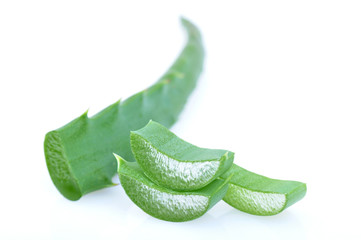 Leaf of aloe