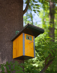 Birdhouse