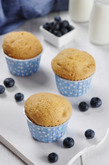 Muffins with fresh blueberries
