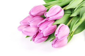 Obraz premium Beautiful bouquet of purple tulips, isolated on white