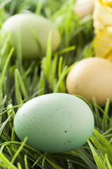 Colored Dyed Easter Eggs