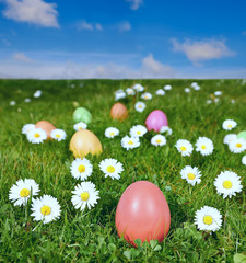 Colorful Easter eggs