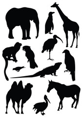 Vector set of black silhouettes of animals