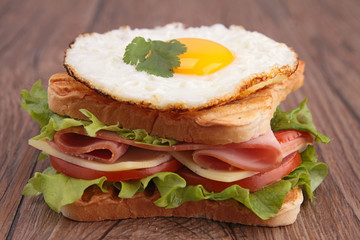 sandwich toast