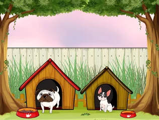 Fotobehang Twee huisdieren binnen het hek met houten huizen © GraphicsRF