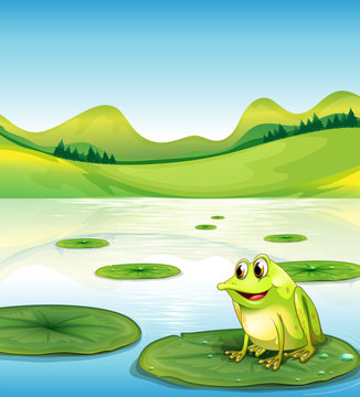 A frog above the water lilly