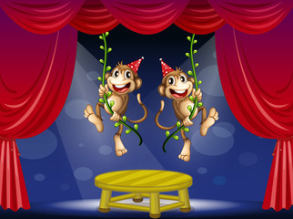 Obraz na płótnie Canvas Dwie małpy wykonujące na etapie