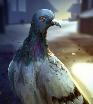 digital painting of a common pigeon standing in the sunlight in a urban setting