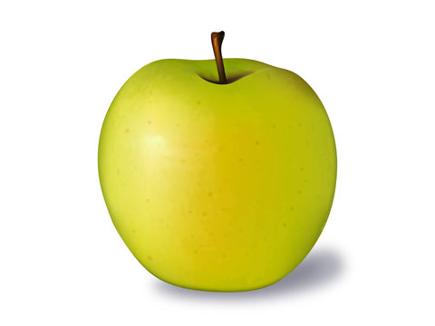 Illustration of a yellow apple
