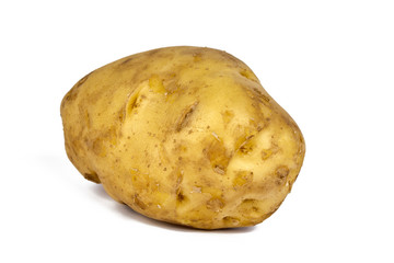 Singal Giant Potato