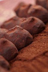 chocolate truffles