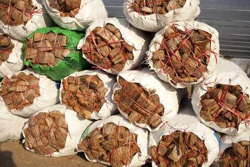 coconut coir for orchid plantation in white bag