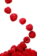 Raspberries isolated on a white background