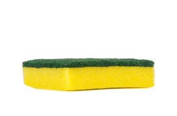 GREEN AND YELLOW SPONGE