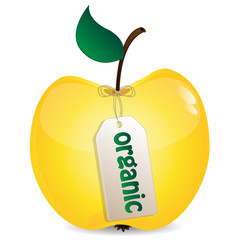 apple of yellow on a white background