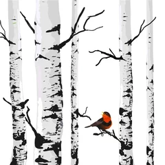Washable wall murals Birds in the wood Bird of birches, vector drawing with editable elements.