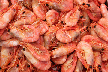 Fresh raw Shrimps