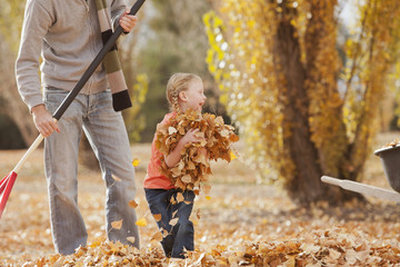 Caucasian father and daughter raking autumn leaves