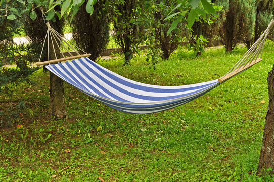 Hammock in the garden,  on a sunny day -