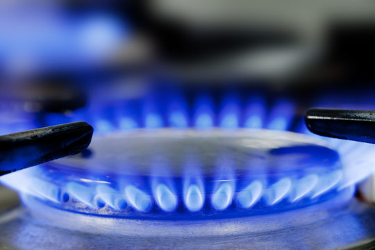 Gas stove burner