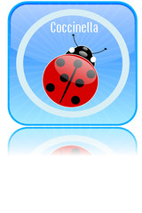 Bottone quadrato con coccinella