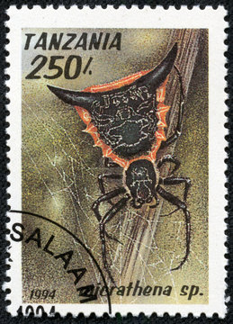 stamp printed in Tanzania shows image of a micrathena sp