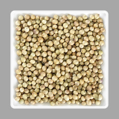 Coriander