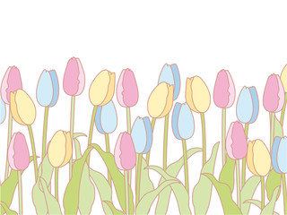 チューリップの花枠＆壁紙