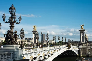 Foto op Plexiglas Pont Alexandre III Alexandre III-brug in Parijs