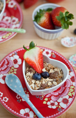Homemade granola with fresh berries