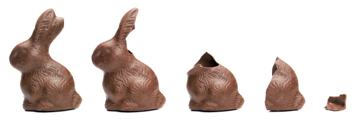 Chocolate Easter Bunny eating sequence