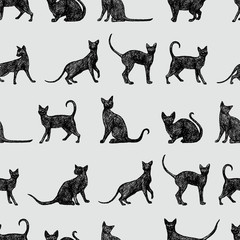 background with black cats