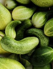 Green cucumbers, background