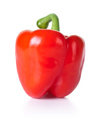 Red Paprika