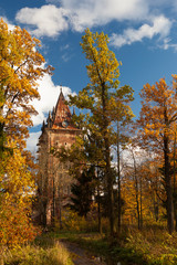 Gold autumn around the Chapel in Tsarskoye Selo