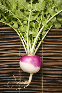 White globe turnip on mat