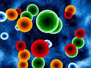 cell colors