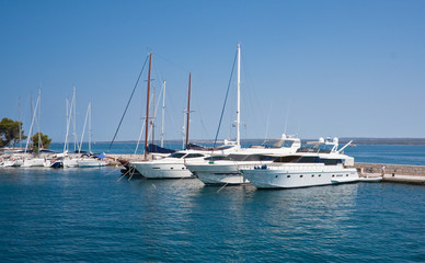 Obraz premium Yacht port. Large island of Brijuni. Croatia
