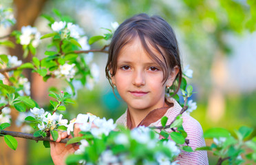 portrait of a young girl in a blossom apple garden