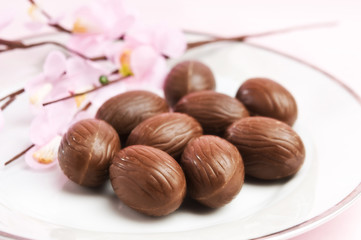 pasqua-studioventitre