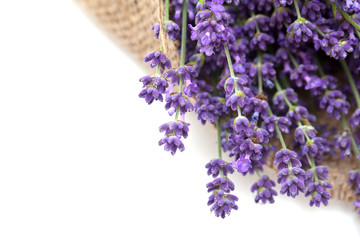 Fototapeta premium lavender flowers in burlap
