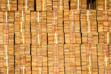 Pile of Wood Stored in stock
