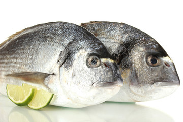 Two fish dorado with lemon isolated on white