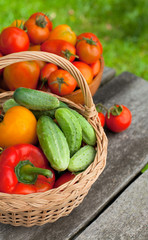 fresh vegetables on wooden garden table