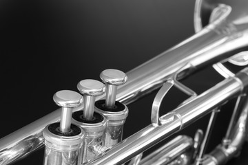 Trumpet