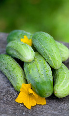 fresh organic cucumbers