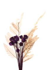 Micro flowers ornament